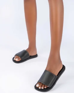 Slides*Melissa Brave Slide