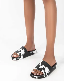 Slides*Melissa Cloud