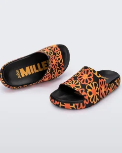 Slides*Melissa Cloud