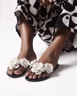 Flip Flops*Melissa Harmonic Springtime Black/Beige